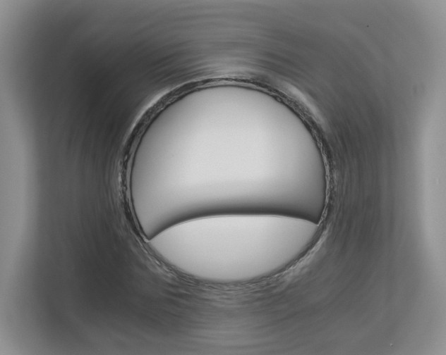 X0000112900875200908211048
