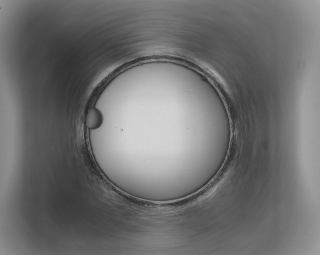 X0000112900877200908211048