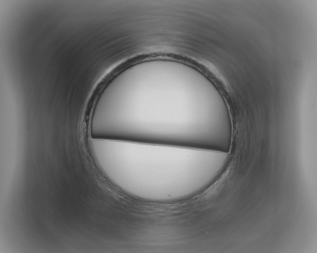 X0000112900879200908211048