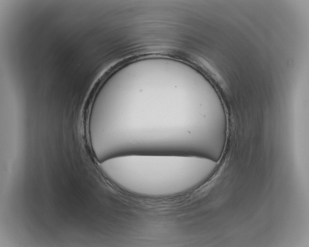 X0000112900883200908211048