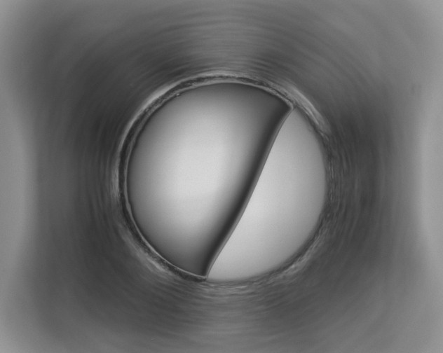 X0000112900884200908211048