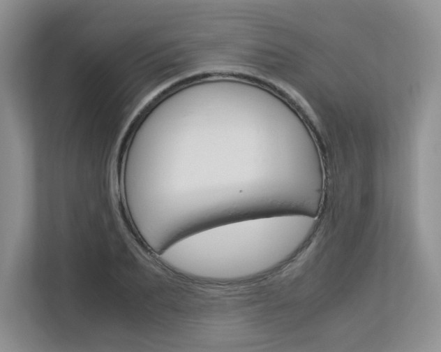 X0000112900887200908211048