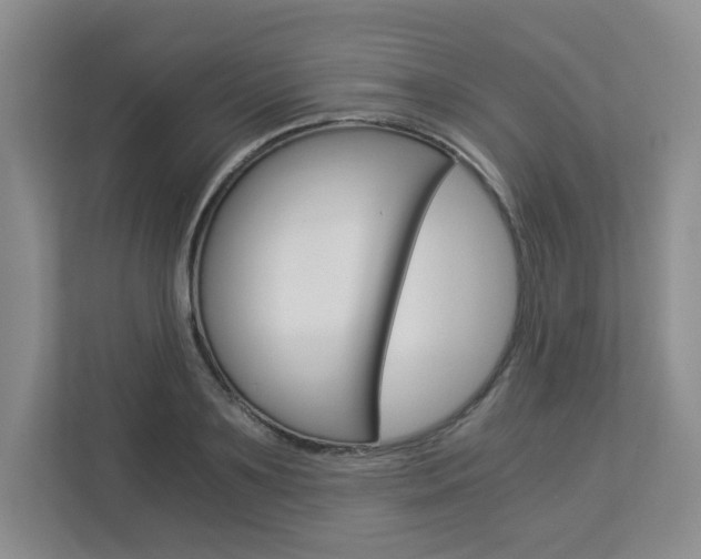 X0000112900891200908211048