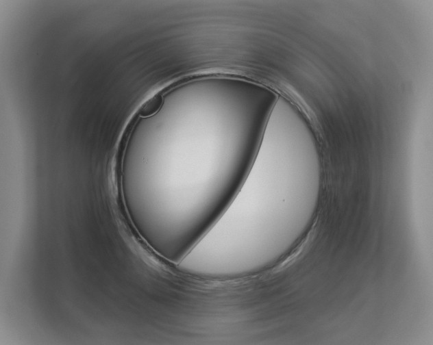 X0000112900892200908211048