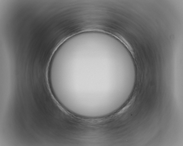 X0000112900893200908211048