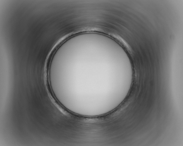 X0000112900894200908211048