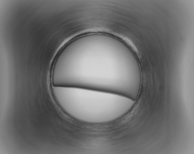 X0000112900895200908211048