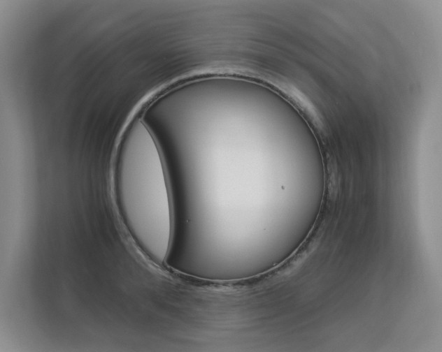 X0000112900896200908211048