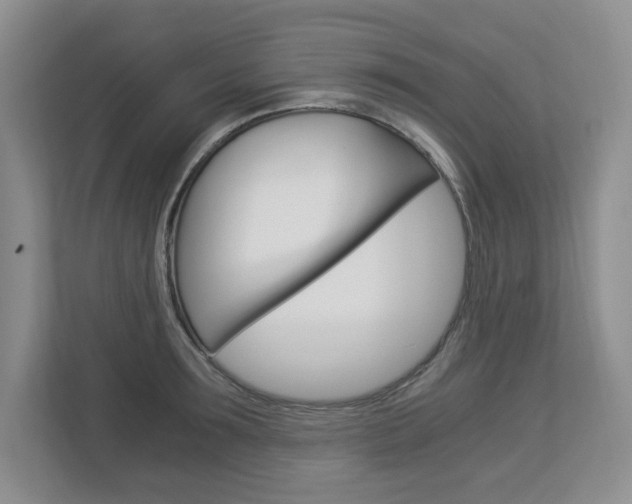 X0000112900899200908211048