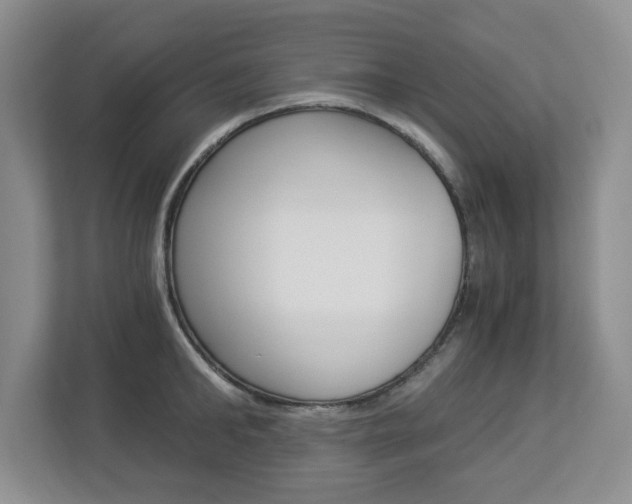 X0000112900902200908211048