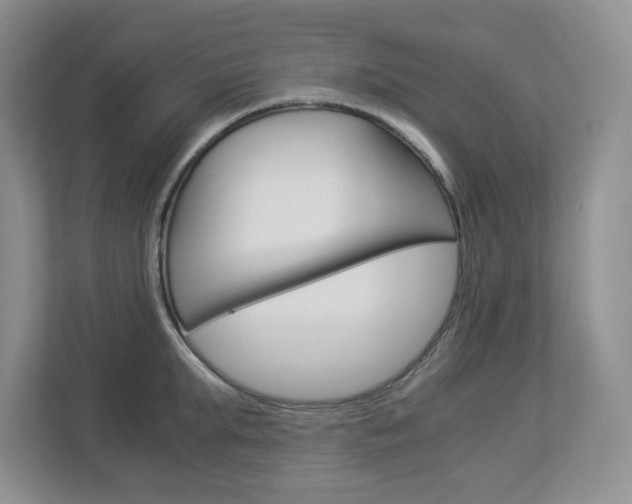 X0000112900903200908211048