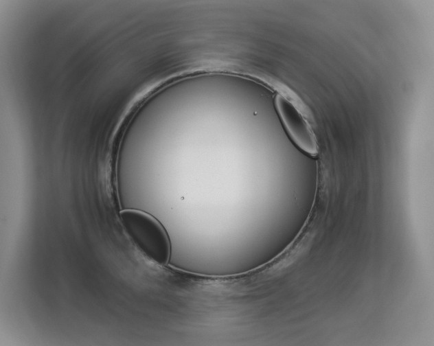 X0000112900904200908211048