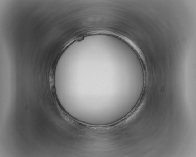 X0000112900905200908211048