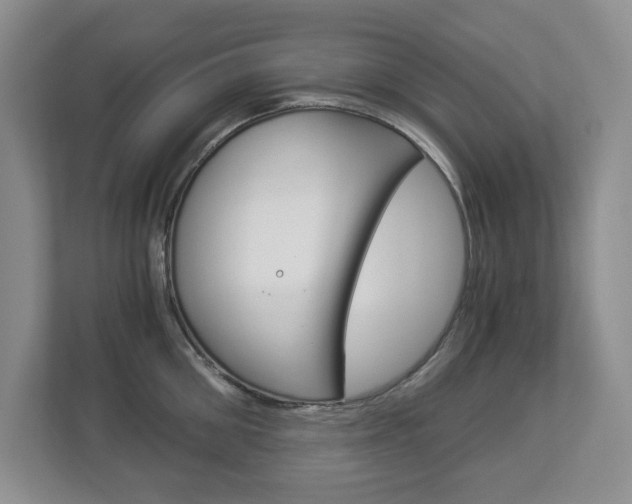 X0000112900906200908211048