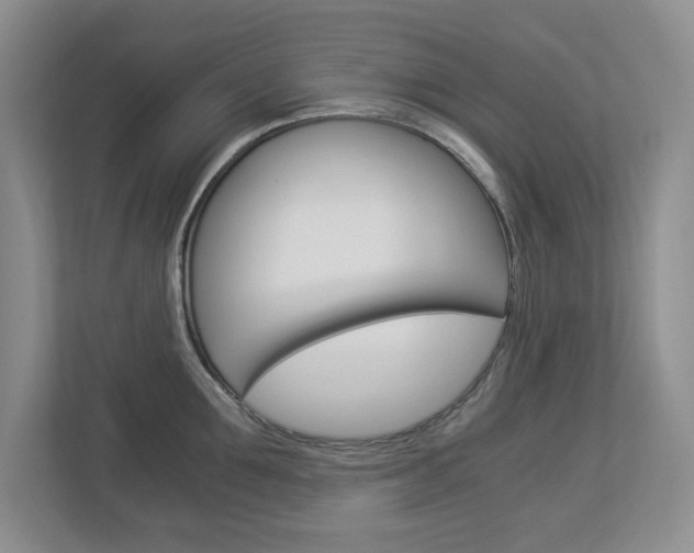 X0000112900907200908211048