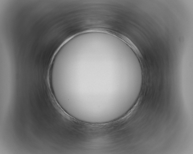 X0000112900908200908211048