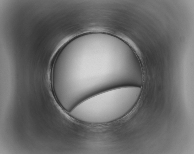 X0000112900910200908211048