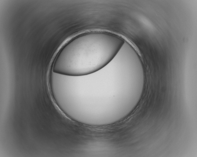 X0000112900911200908211048