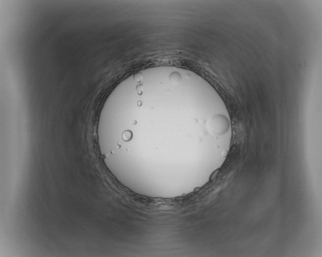 X0000112900913200908211047