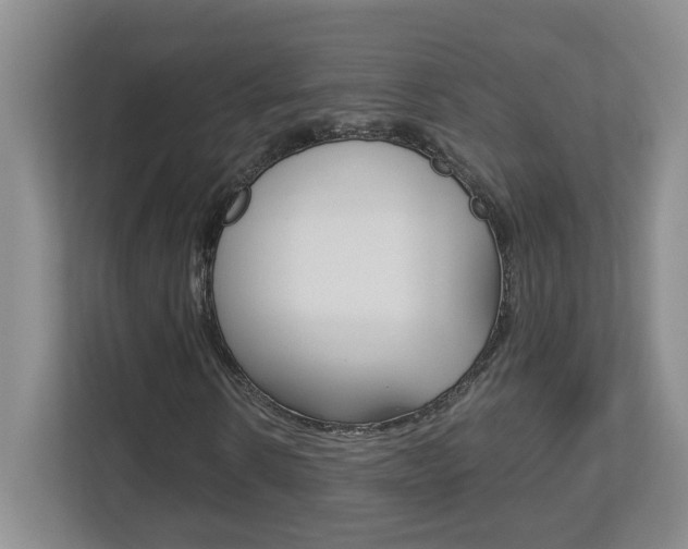 X0000112900914200908211047