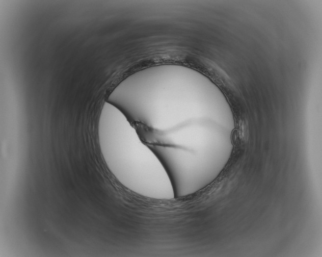 X0000112900915200908211047