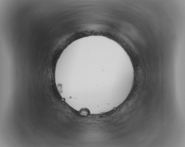 X0000112900918200908211047