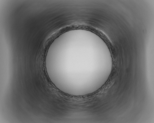 X0000112900919200908211047