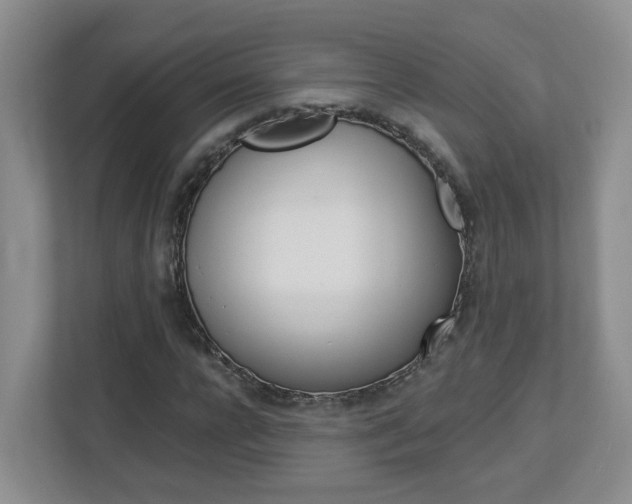 X0000112900920200908211047