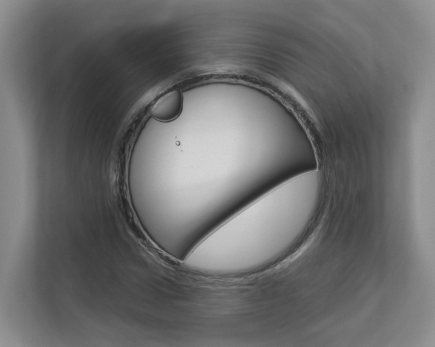 X0000112900922200908211047