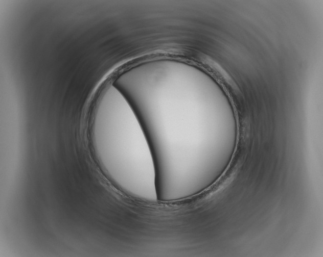 X0000112900923200908211047