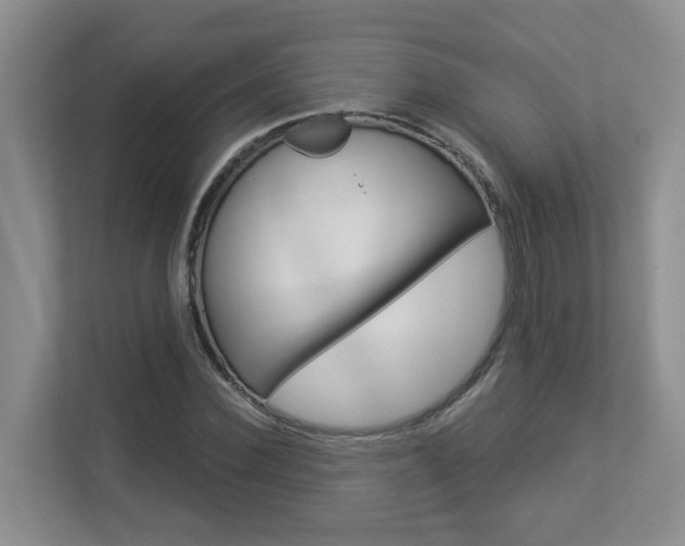 X0000112900924200908211047