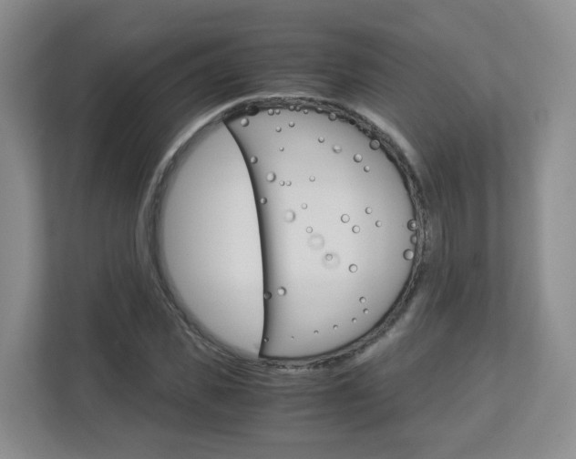 X0000112900925200908211047