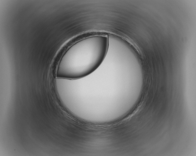 X0000112900926200908211047