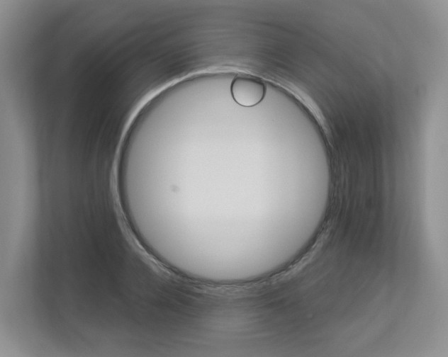 X0000112900936200908211047