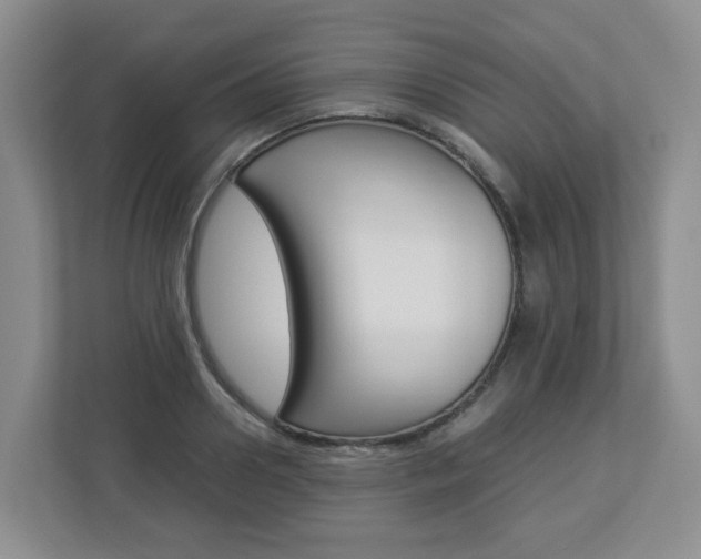 X0000112900938200908211047