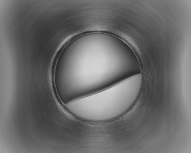 X0000112900942200908211047