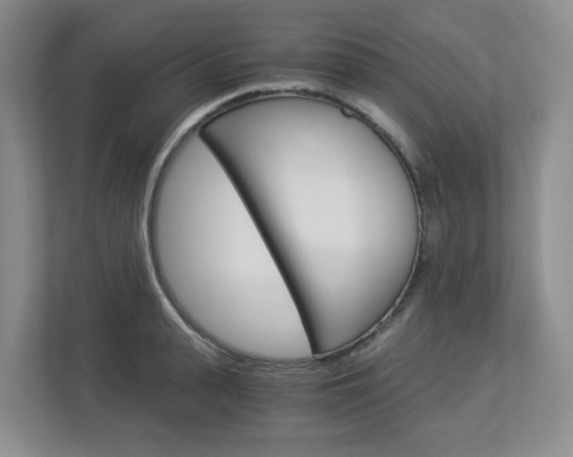 X0000112900943200908211047