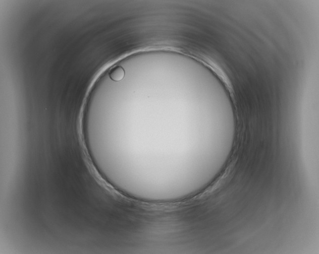 X0000112900944200908211047