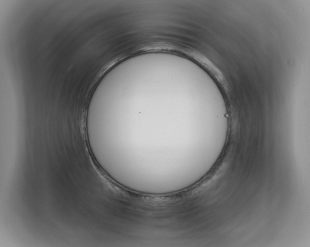 X0000112900945200908211047