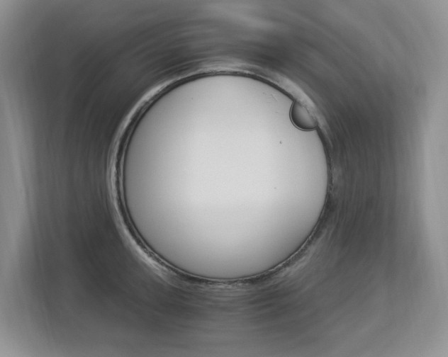 X0000112900947200908211047