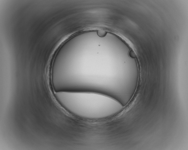 X0000112900949200908211047