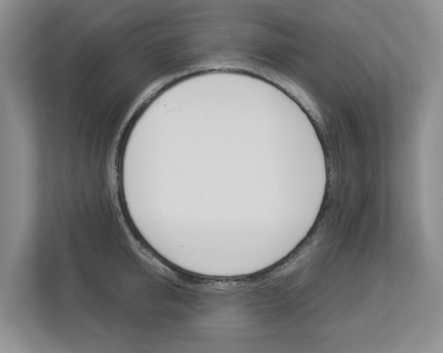 X0000112900950200908211047
