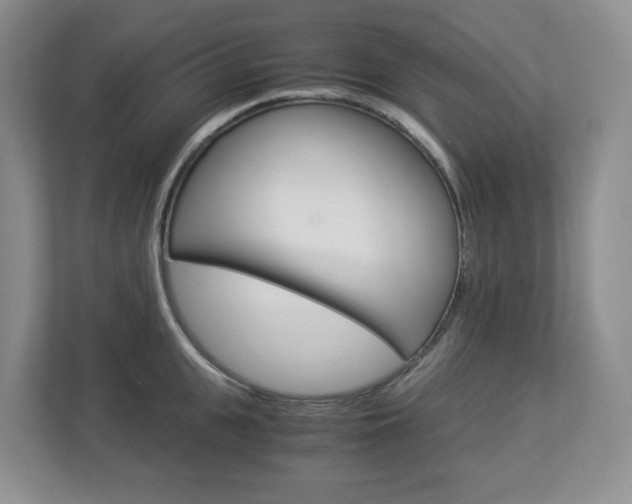X0000112900951200908211047