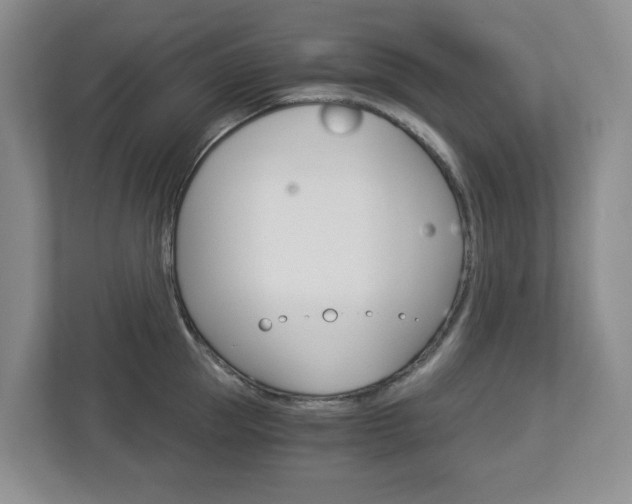 X0000112900953200908211047