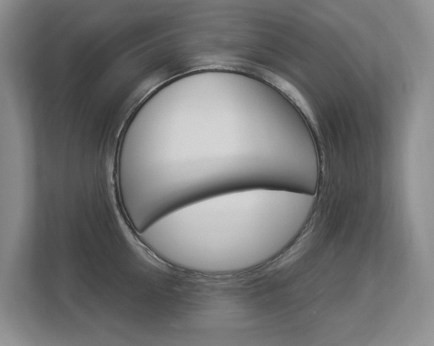 X0000112900954200908211047