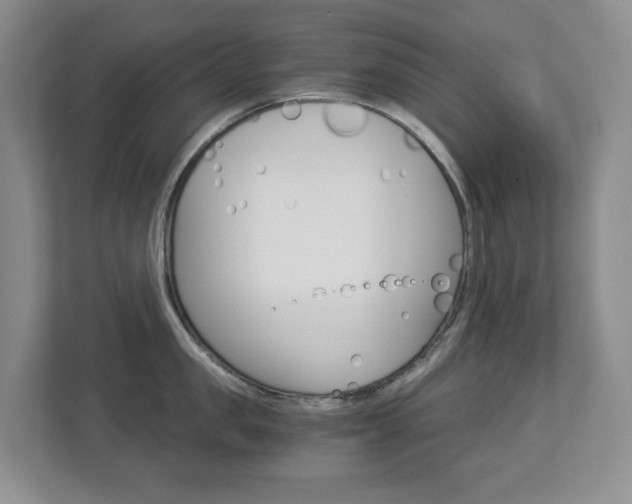 X0000112900957200908211048