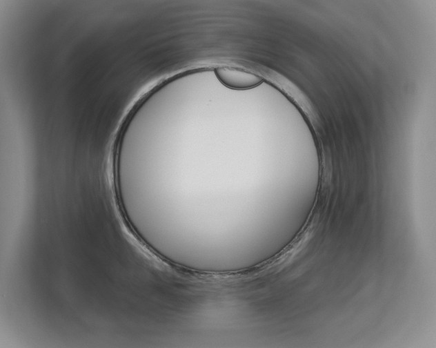 X0000112900958200908211048