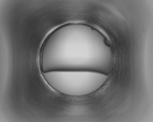 X0000112900959200908211048