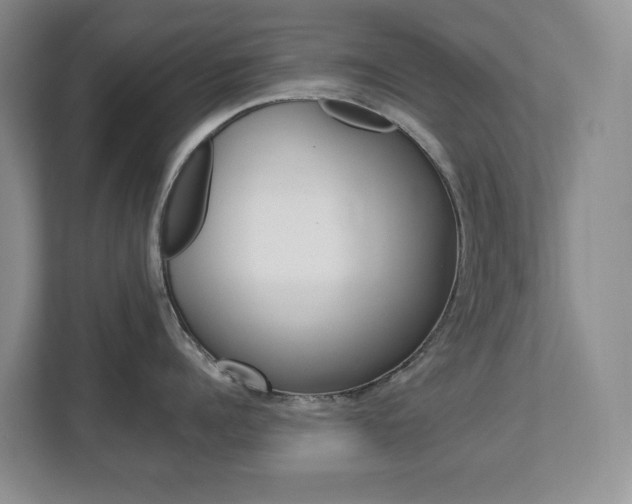 X0000112900960200908211048