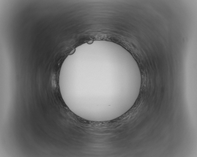 X0000112900962200908211047